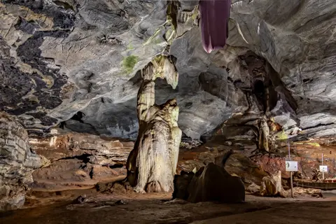 © Sudwala Experience